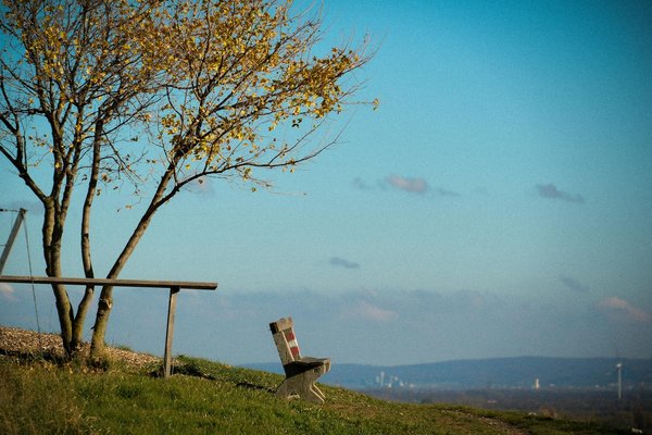 Imaginer sa vie après une fausse couche